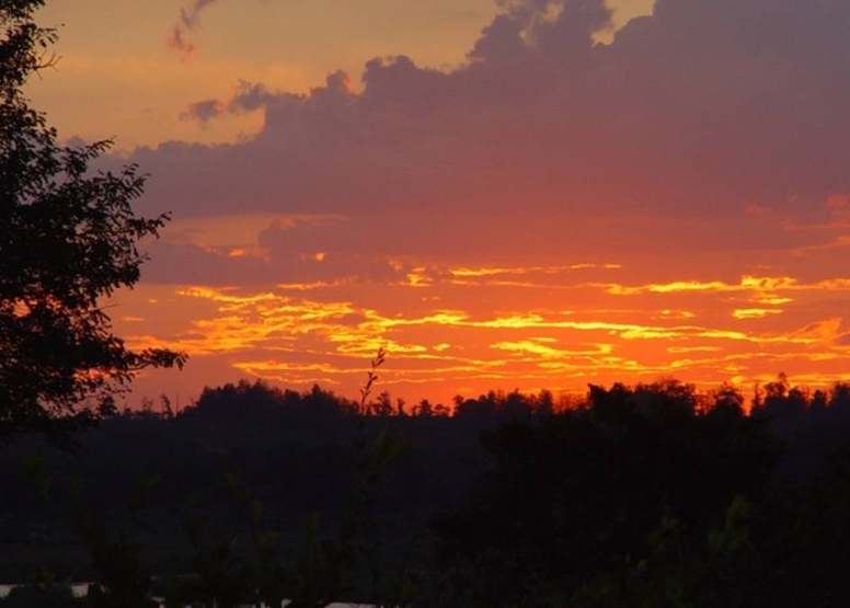 Sunset Kruger Game Drive image 1