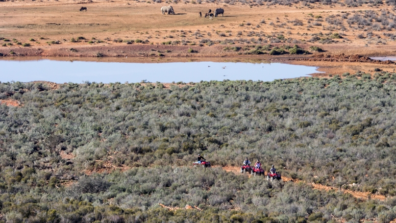 Quad bike Safari (Including Transfer) image 6