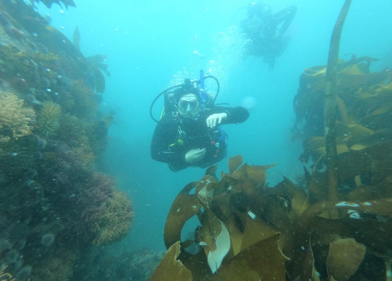 Great African Sea Forest Single Scuba Dive Boat Entry image 1