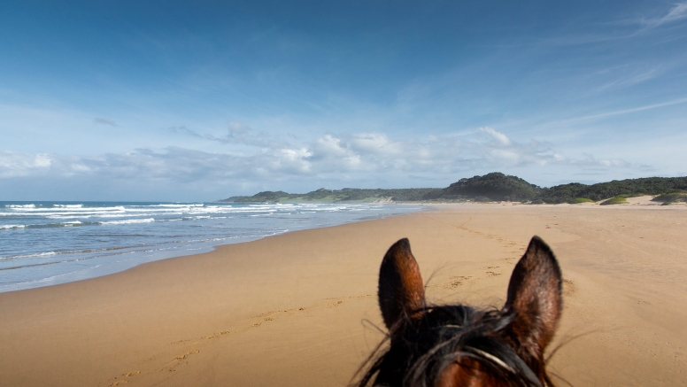 Kei Mouth Beginners Beach Ride image 4