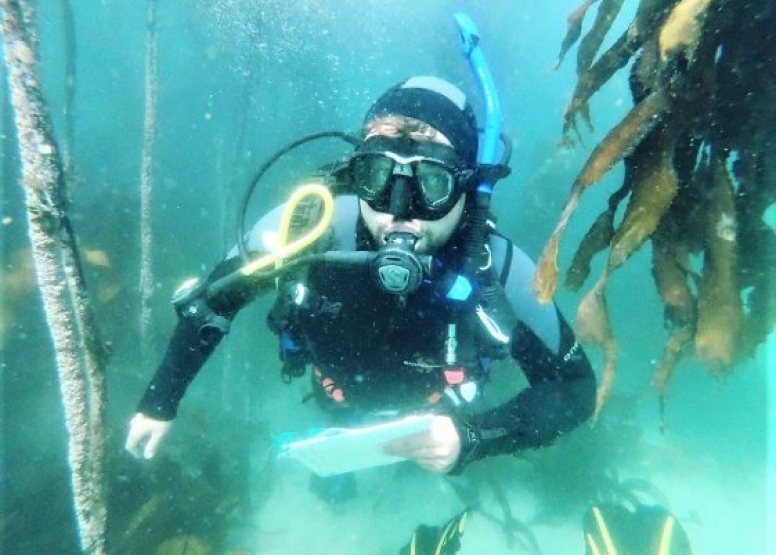 Great African Sea Forest Single Scuba Dive Boat Entry image 4