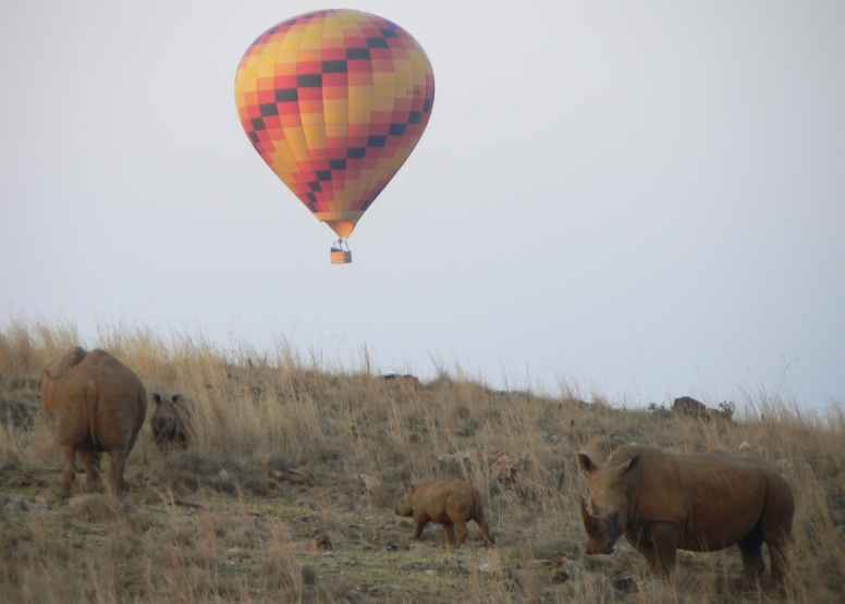 Safari Flight image 9