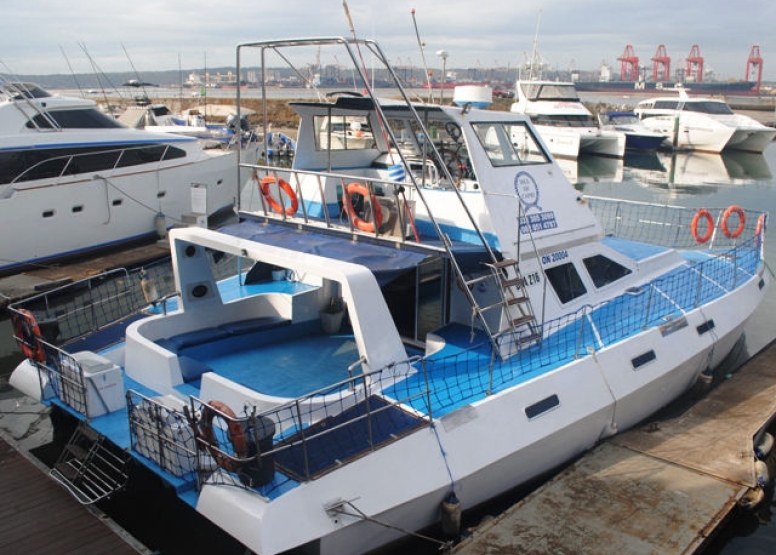 Durban Sea Safari image 2 Durban Sea Safari image 2