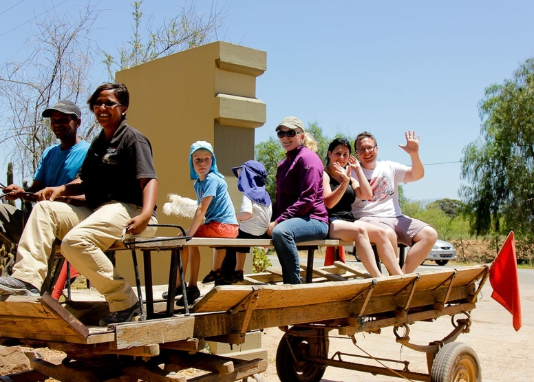 Traditional Ostrich Tour image 3