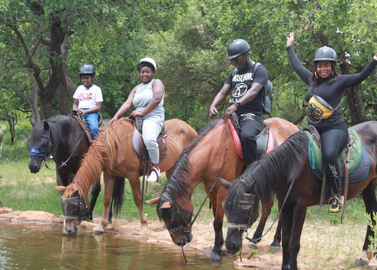 2 Hour Sunrise Safari Horse Ride Harties image 2