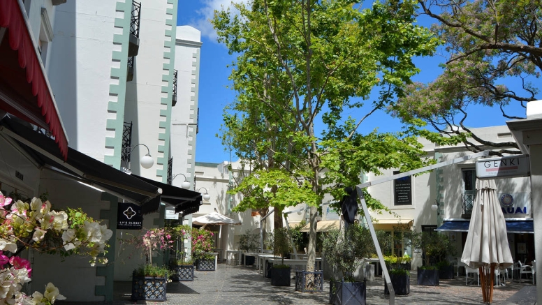 Stellenbosch Historical Walking Tour image 2