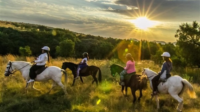 1 Hour Midday Breakaway Horse Ride Harties image 8