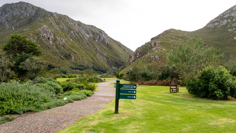 Full Day Hermanus image 2