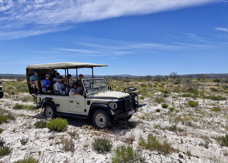 Safari & San Heritage Daytrip from Cape Town image 7