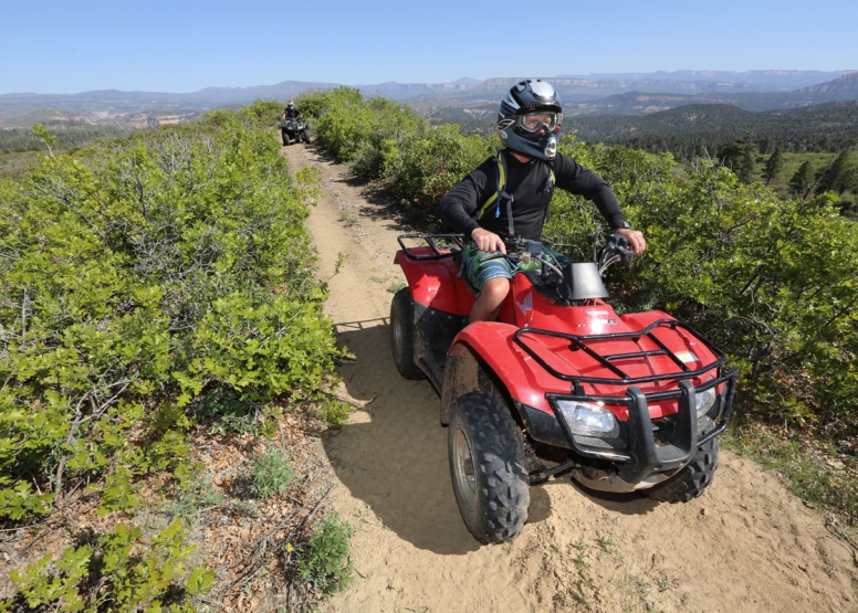 50 Min Quad Bike Ride Rebel Holt Knysna image 3