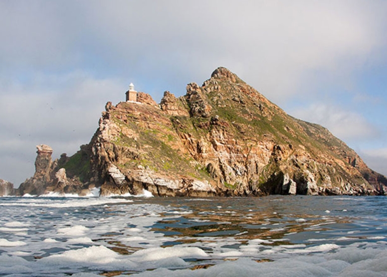 Cape Point Safari & Seal Snorkeling Experience image 1