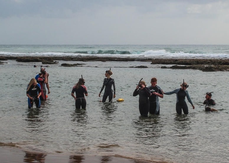 Eastern Shores Safari & Snorkeling image 3