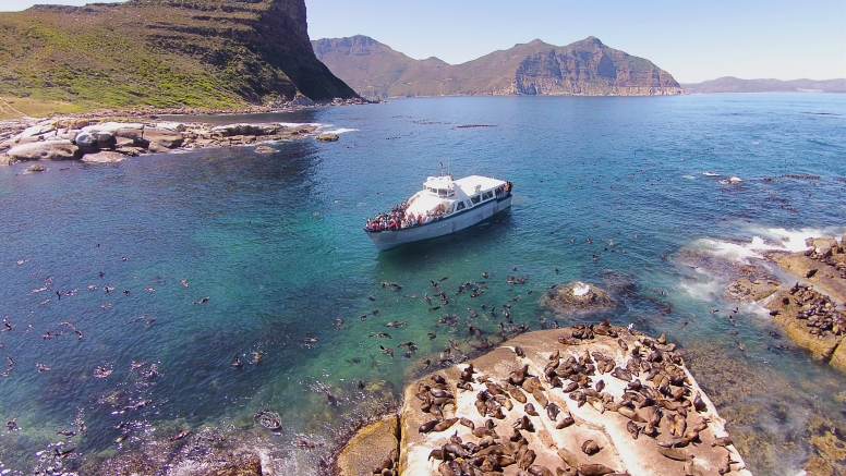 1 Hour Special Boat Trip in Hout Bay image 2