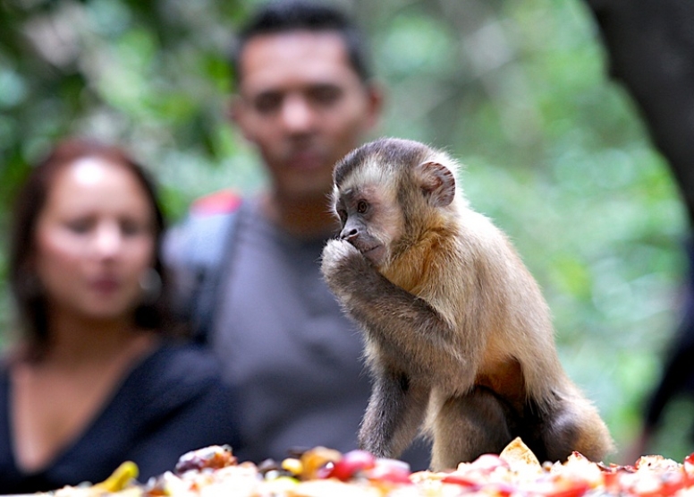 The Hidden Forest Wildlife Sanctuary image 5