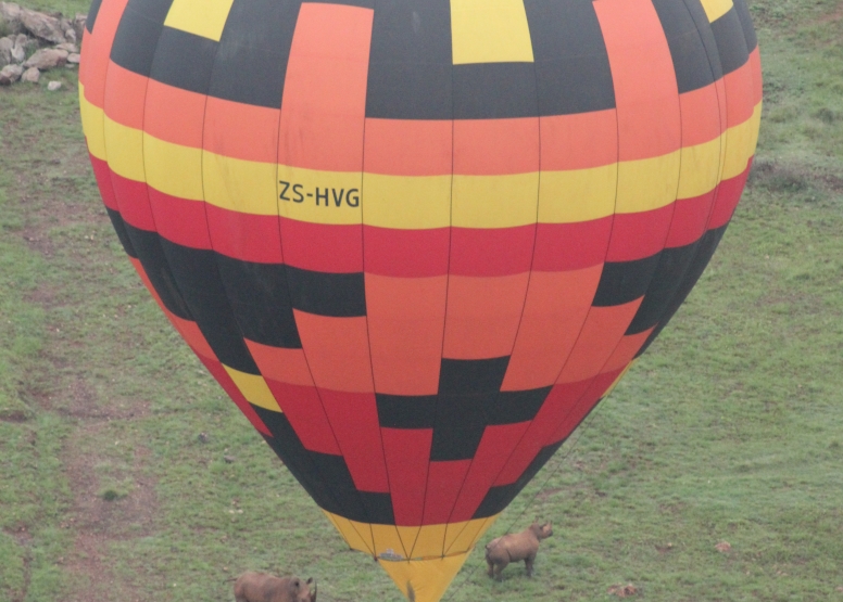 Safari Flight image 8