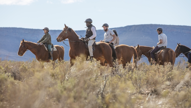 Horseback Safari image 1