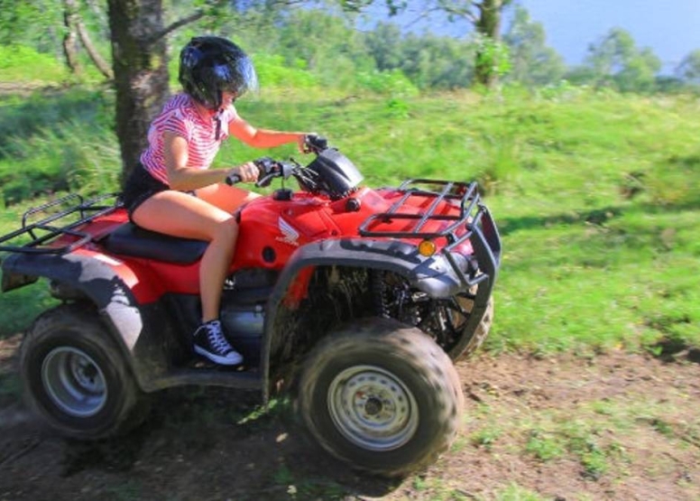 4km Quad Ride Wilderness image 3