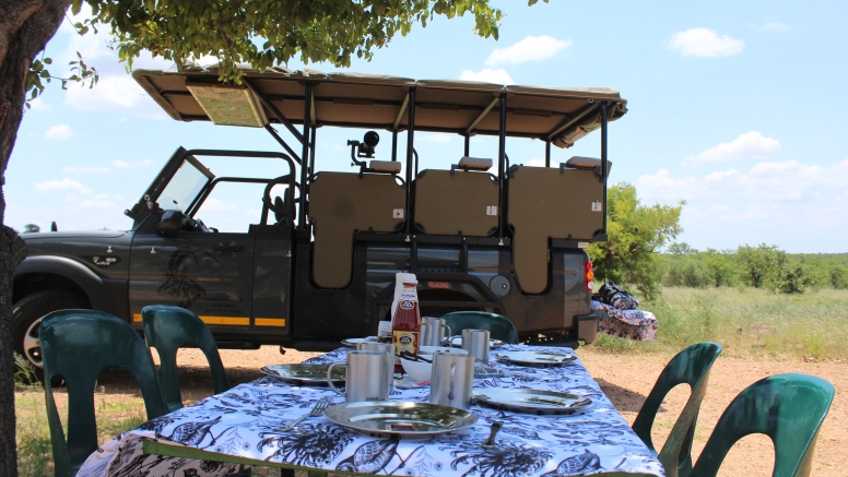Exclusive Kruger National Park Full Day Safari with Brunch image 7
