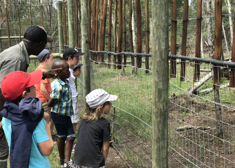 Eco Kidz Family Challenge image 11