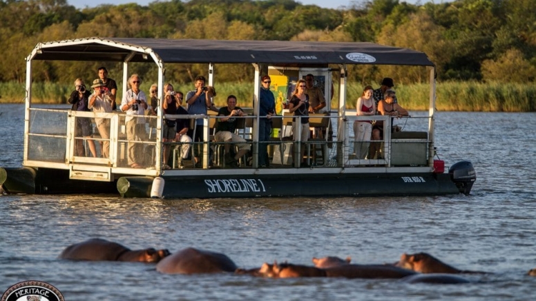 Hippo & Croc Boat Cruise image 2