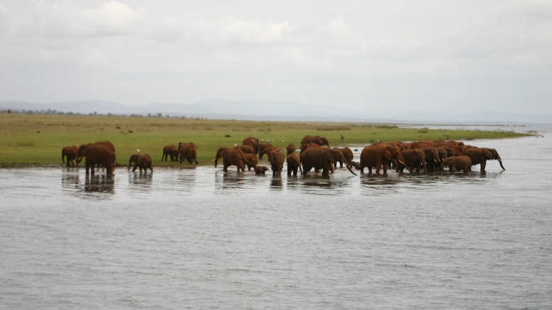 Jozini Boat Cruise (3-4 hrs) image 1