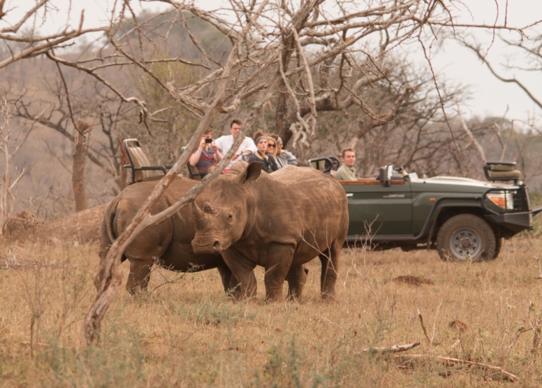 Manyoni Safari Drive (3-4 hrs) image 2