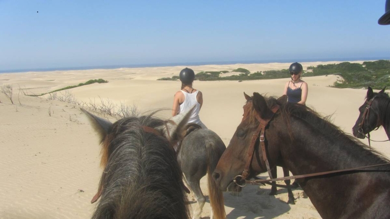 Beach Horse Trail Advanced image 1
