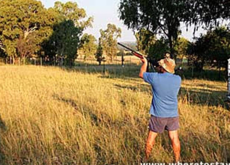 Clay Pigeon shooting 15 shots image 2