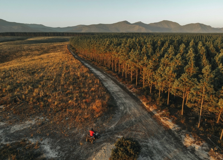 1 Hour Quad Bike Tour Tsitsikamma at Misty Mountain image 1