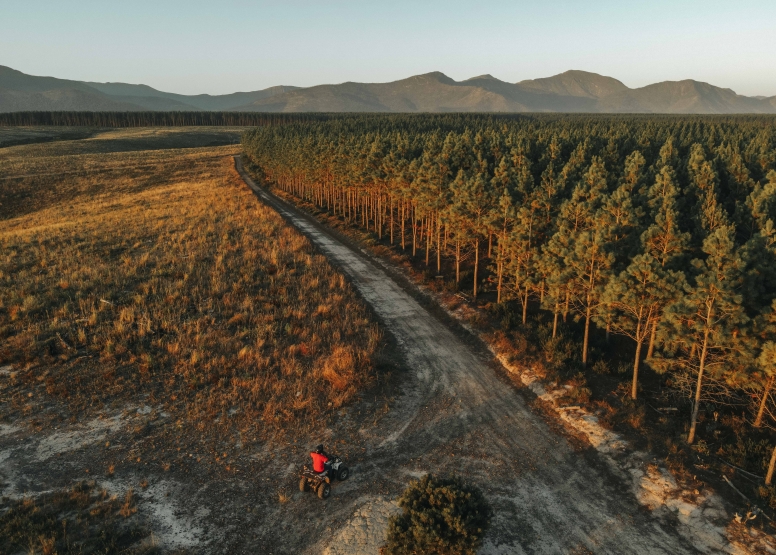 1 Hour Quad Bike Tour Tsitsikamma image 1