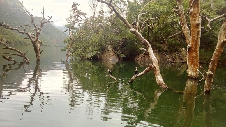 Blyde Dam Boat Cruise BCS image 7