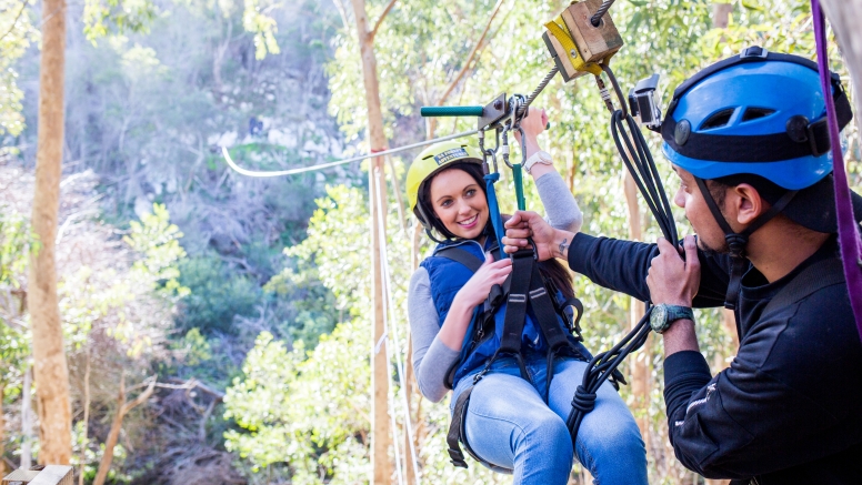 Tree Top Slides (Hermanus) image 4