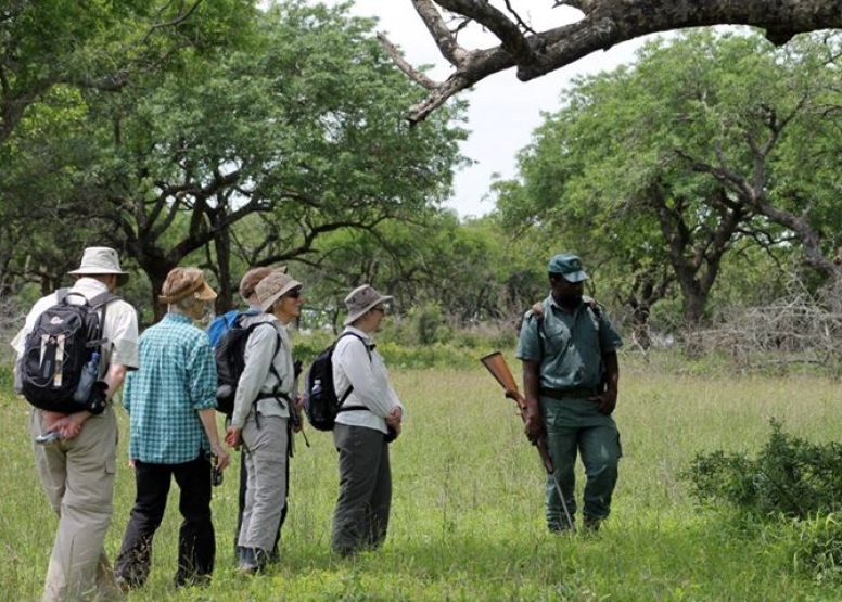 Manyoni Walking Safari (3-4 hrs) image 5