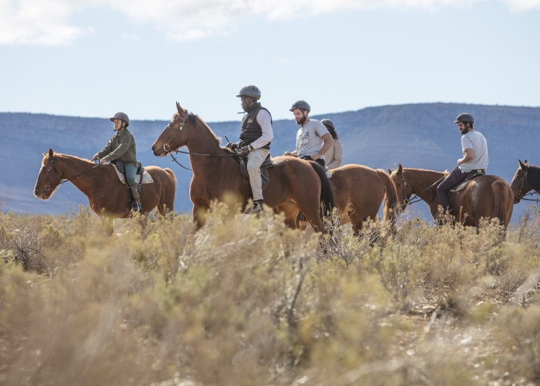 Horseback Safari (Including Transfer) image 2