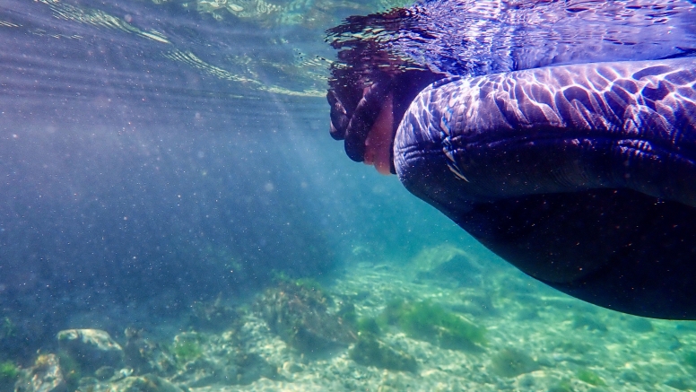 Snorkel Cape Town's Stunning Tidal Pools image 7