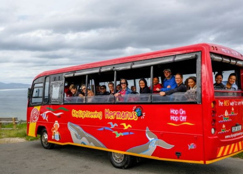 1 Day Sightseeing Tour Hermanus image 3