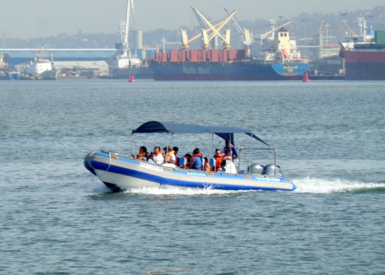 Durban Sea Safari image 1 Durban Sea Safari image 1