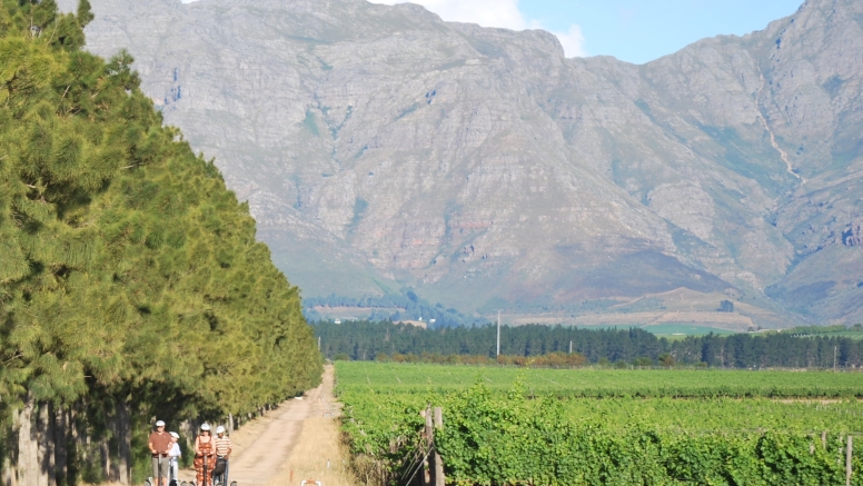 Segway Spier Wine Farm Tour image 5