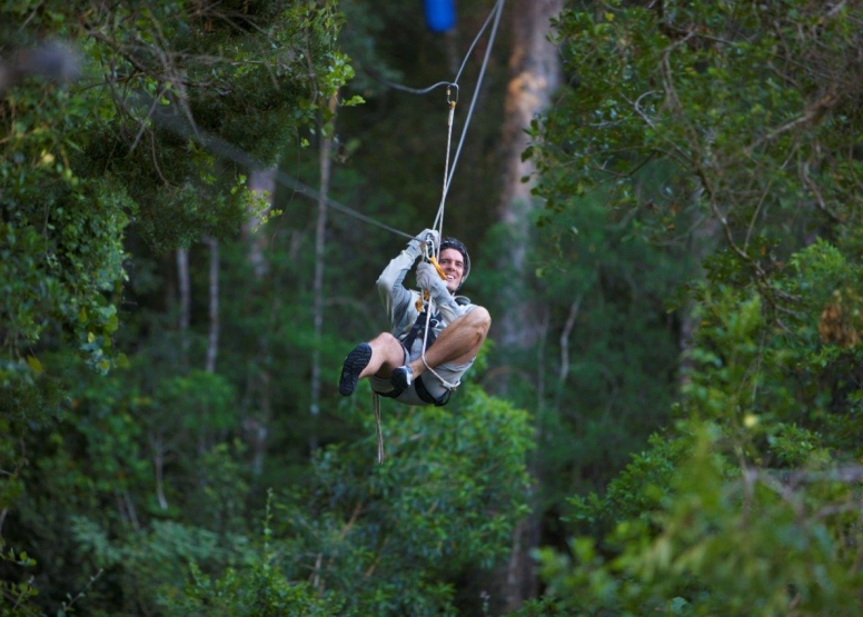 Tsitsikamma Canopy Tours image 1