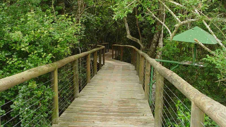 Birds of Eden and Jukani Wildlife Sanctuary image 5