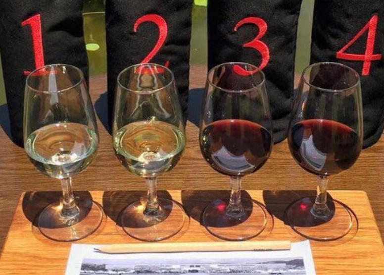 Blind Wine Tasting Challenge image 1