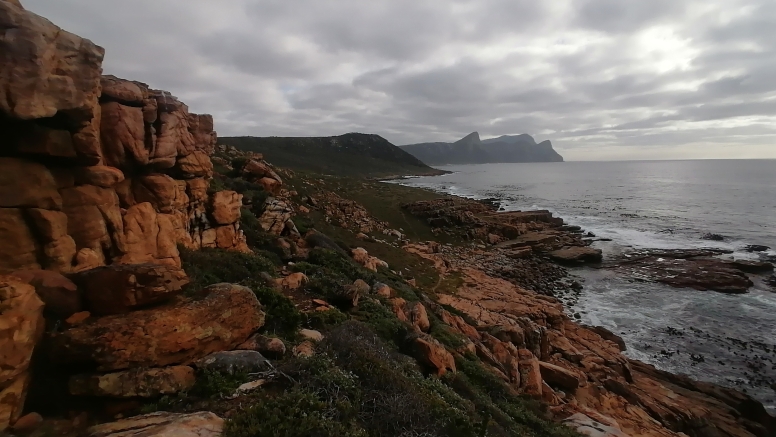 Cape Point Trail Run image 13