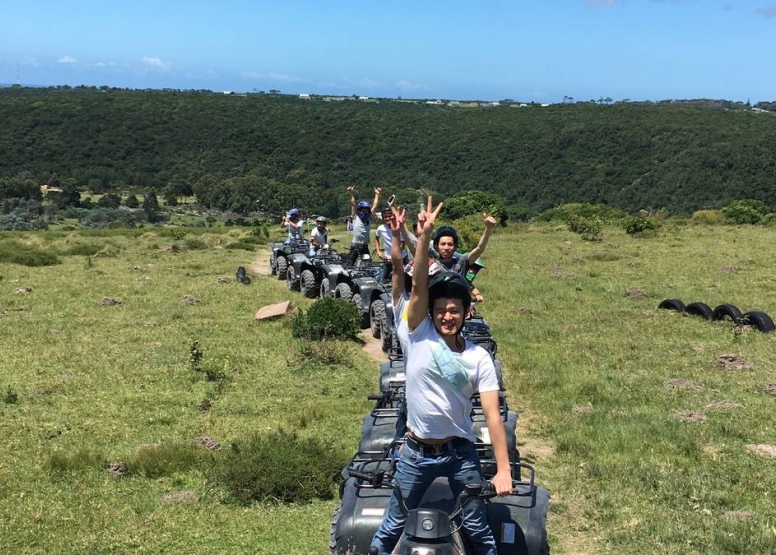 Quad Bike Tour (20min) image 4