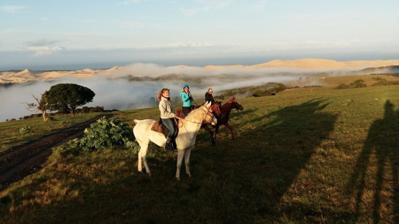 Kariega River Horse Ride image 5