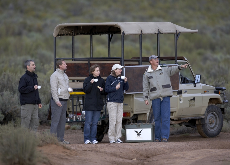 Early Morning Safari image 5