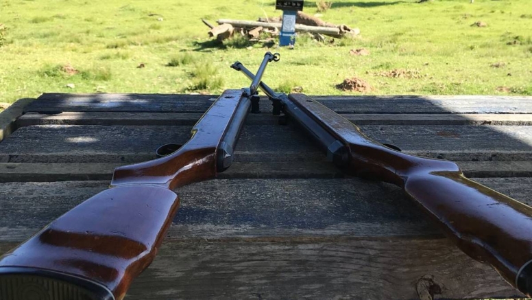 Pellet Gun Target Shooting image 7