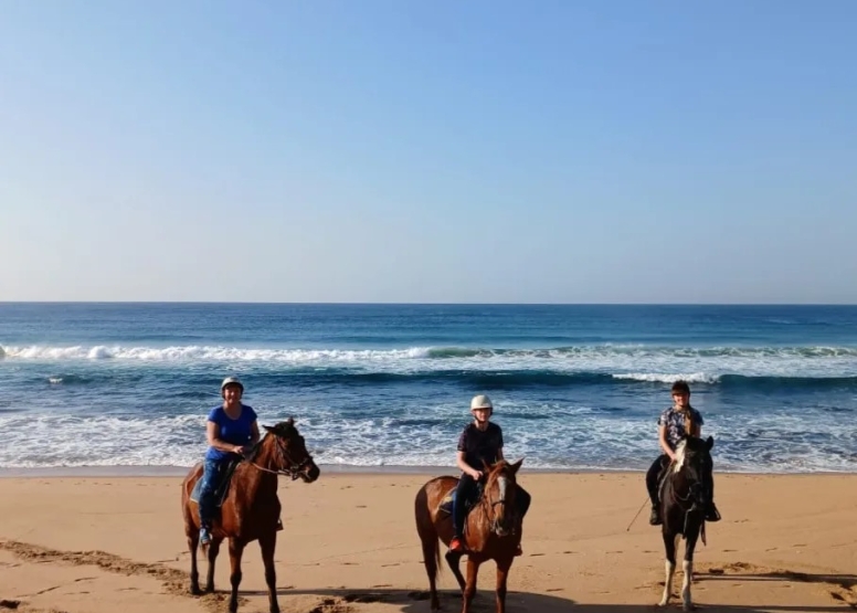 30 Minute Beach Horse Ride Ballito image 5