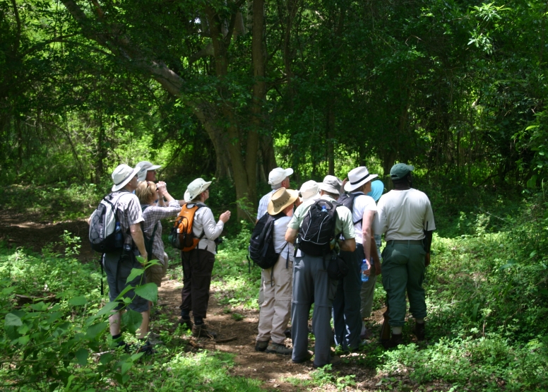 uMkhuze Fig Forest Walk image 2