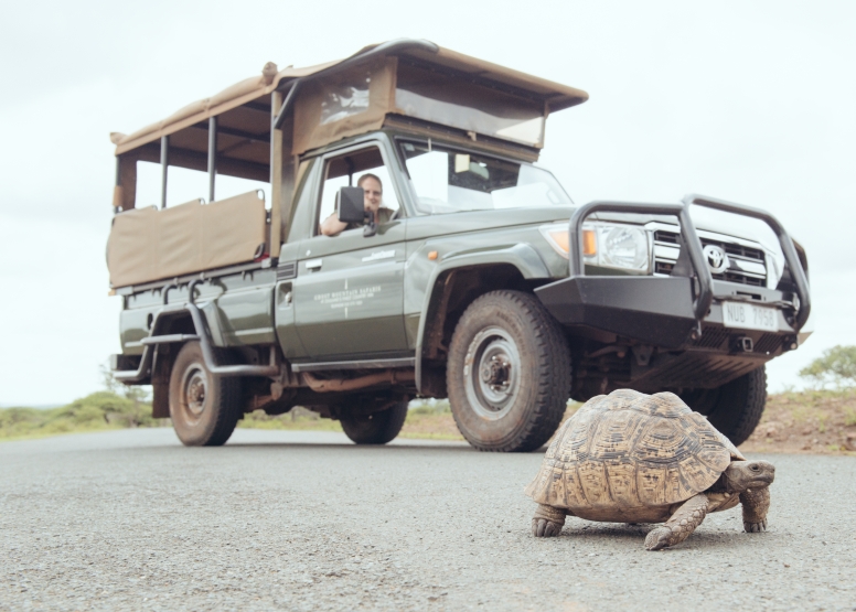 Hluhluwe Game Drive - Full day with lunch image 1