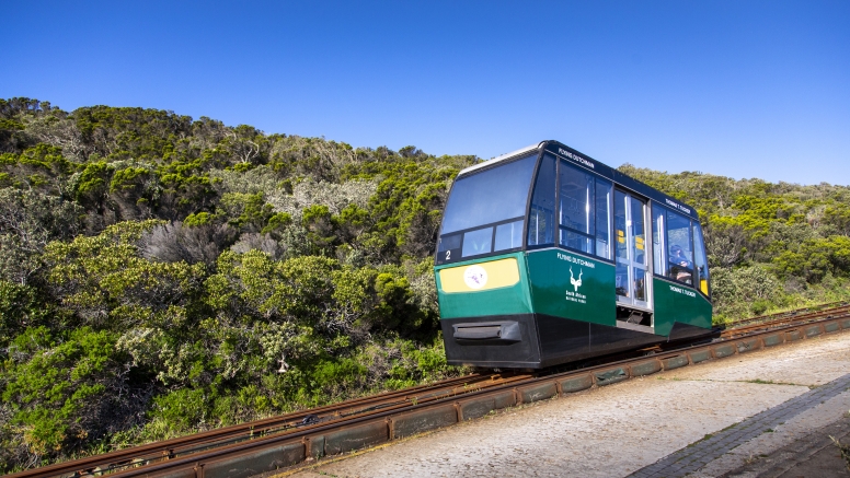 Cape Point Funicular - One Way Ticket - Up image 1
